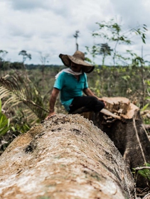 La deforestazione dell’Amazzonia è il caro prezzo della pace in Colombia