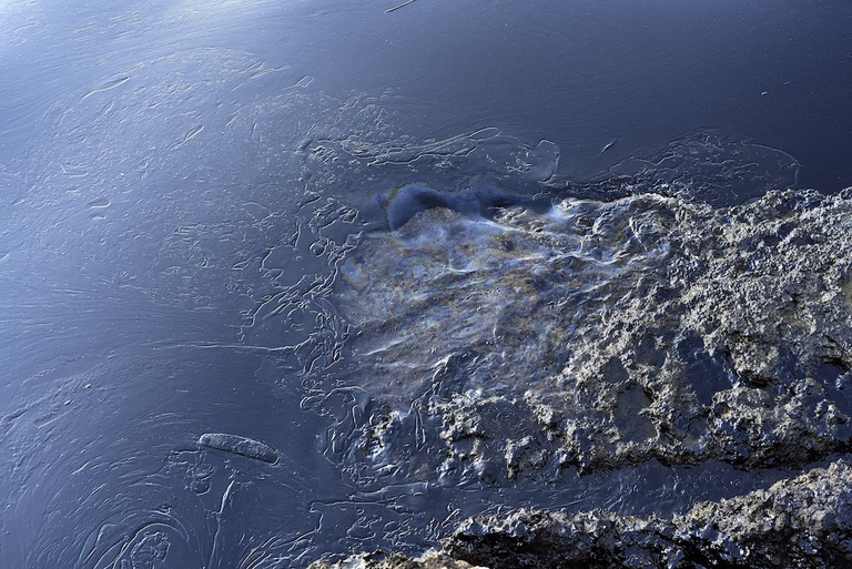oil spill sea