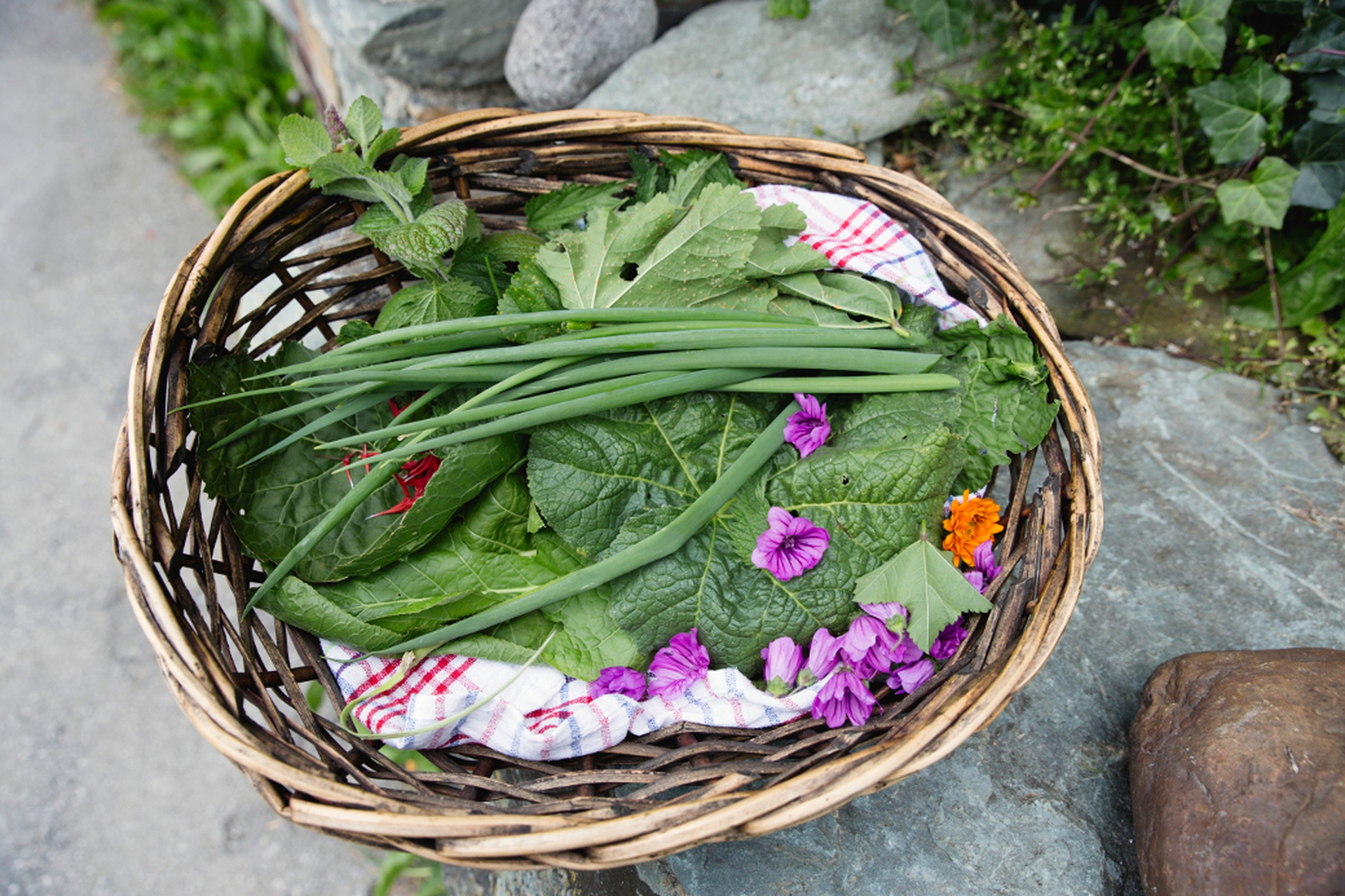 Il foraging permette di sfruttare i prodotti della natura rispettandoli