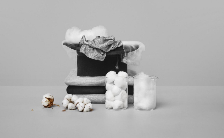 regenerator global change award 2018