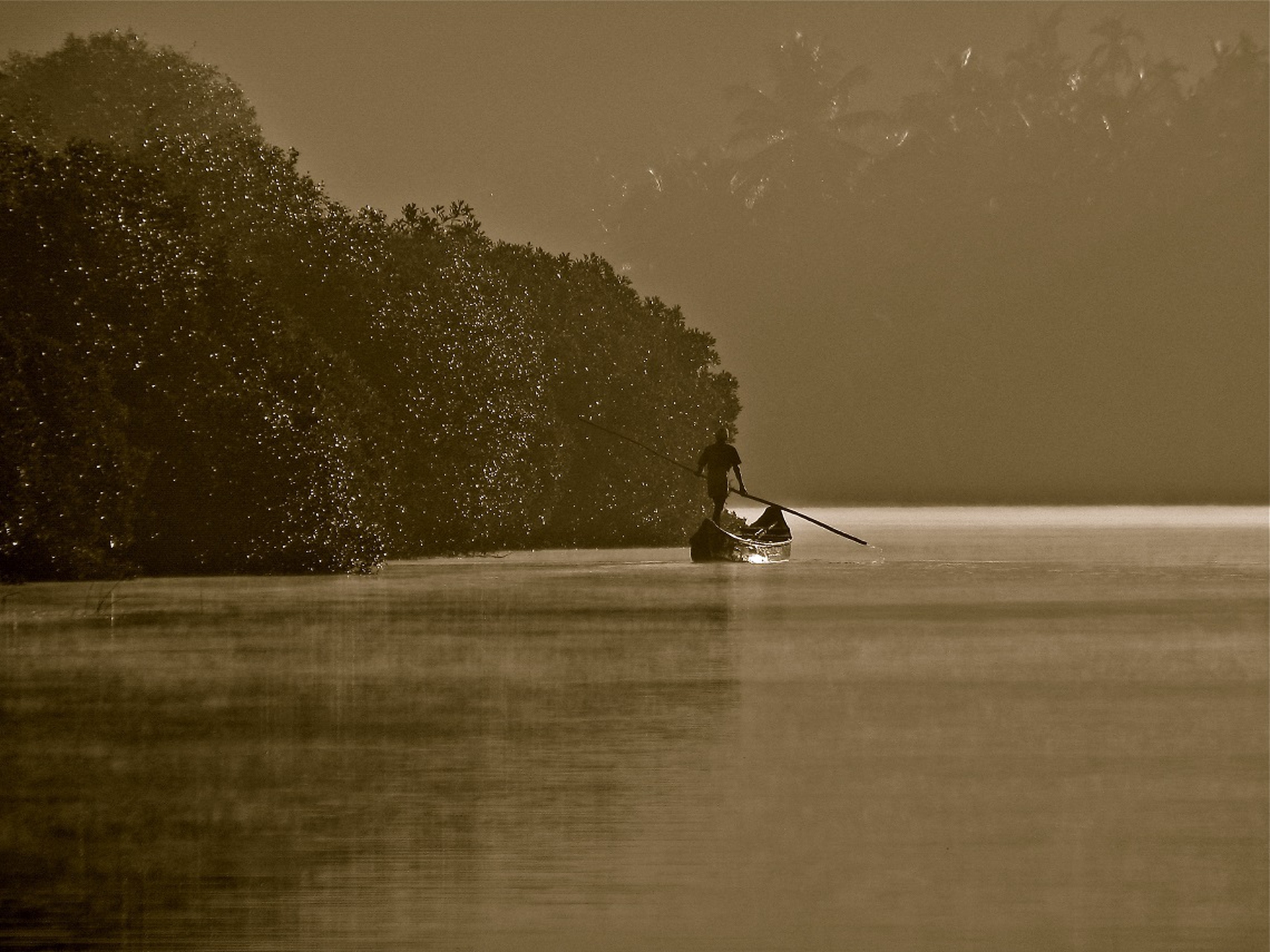 Uomo tra le mangrovie