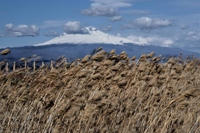 Siccità, tra poco in tutto il Sud Italia finirà l’acqua per l’agricoltura
