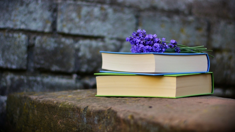 Bookcity Milano 2021 libri