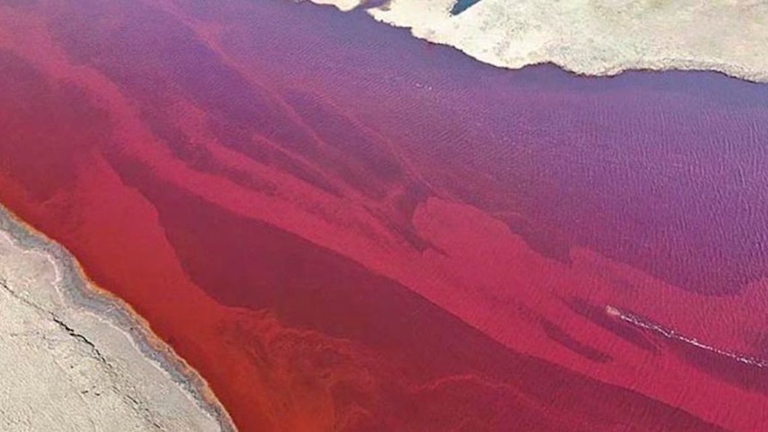 siberia diesel inquinamento