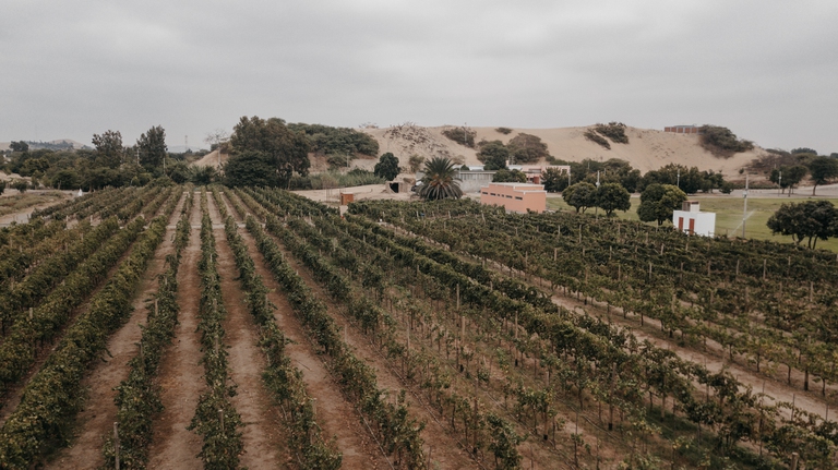 cambiamenti climatici perù