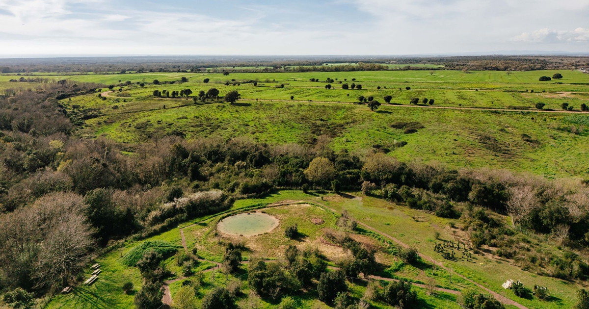 oasi affiliata wwf di castel romano