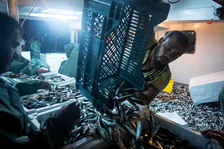 Pescatore turco scarica il pesce appena pescato