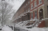 Stop worrying about New York: blizzard Jonas has calmed down