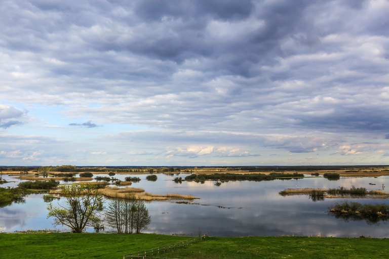 Area umida del parco nazionale di Biebrza, in Polonia