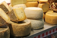 Foodbarrio, la app social commerce delle eccellenze gastronomiche regionali