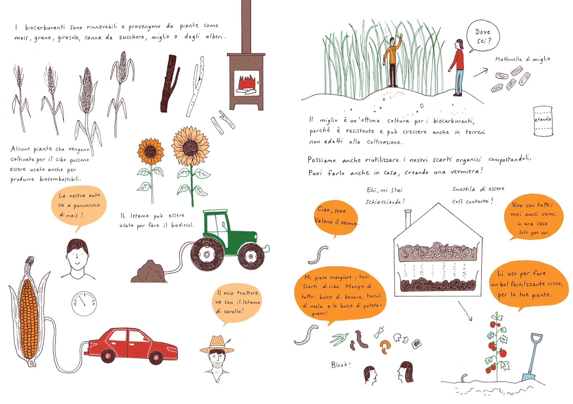 Ciao ciao petrolio. I biocarburanti.