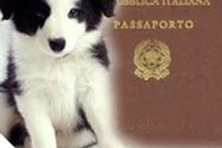 Fido e Micia vengono con noi