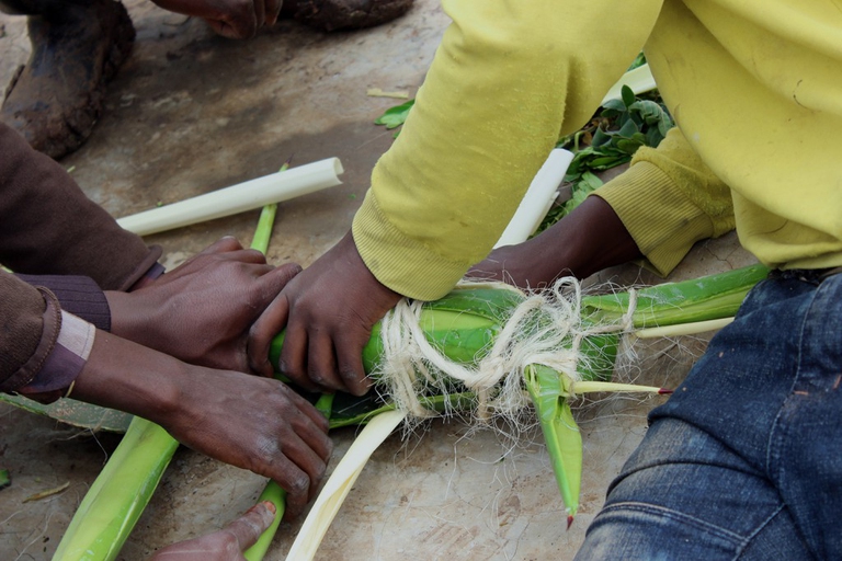 Il primo scorpione, realizzato in agave, a Ngong © Kelvin/MegaLink Photography