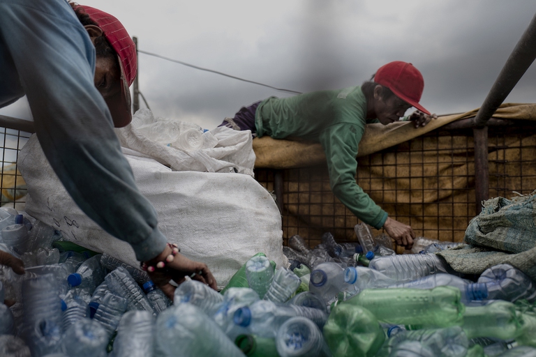 filippine balena plastica