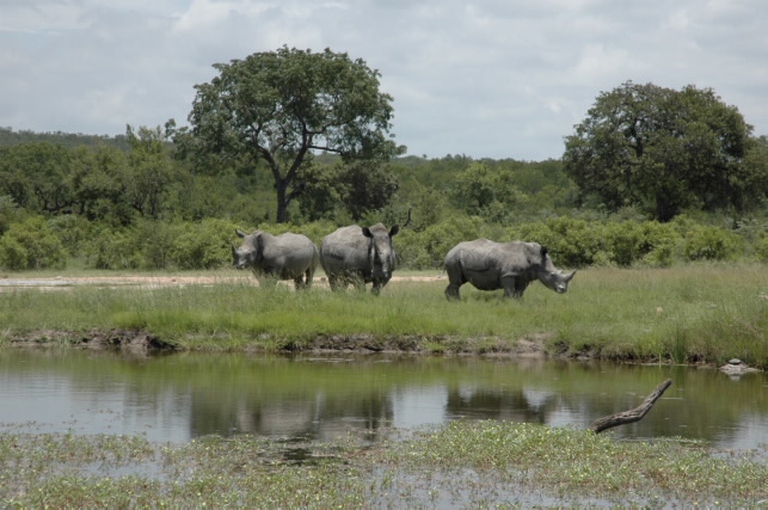 Sudafrica, trekking, FSNC