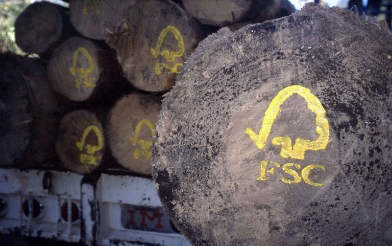 FSC logs, Mexico