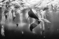 I vincitori del 2015 Traveler Photo Contest del National Geographic