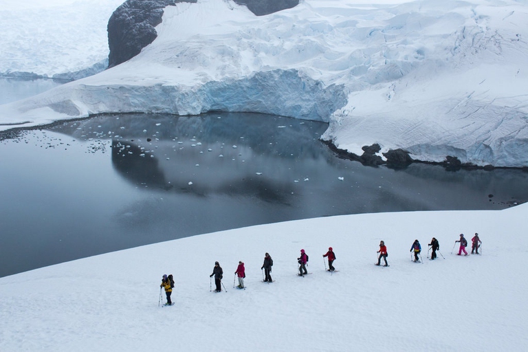 antarctica, tourism