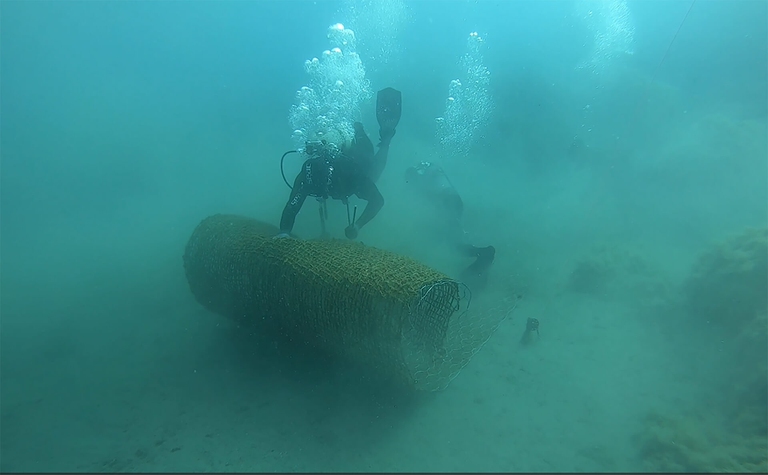 Rigenerare le praterie di Posidonia oceanica nel mar Mediterraneo, con la Water Defenders Alliance