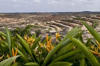 Earth Overshoot Day 2020 comes three weeks later than last year