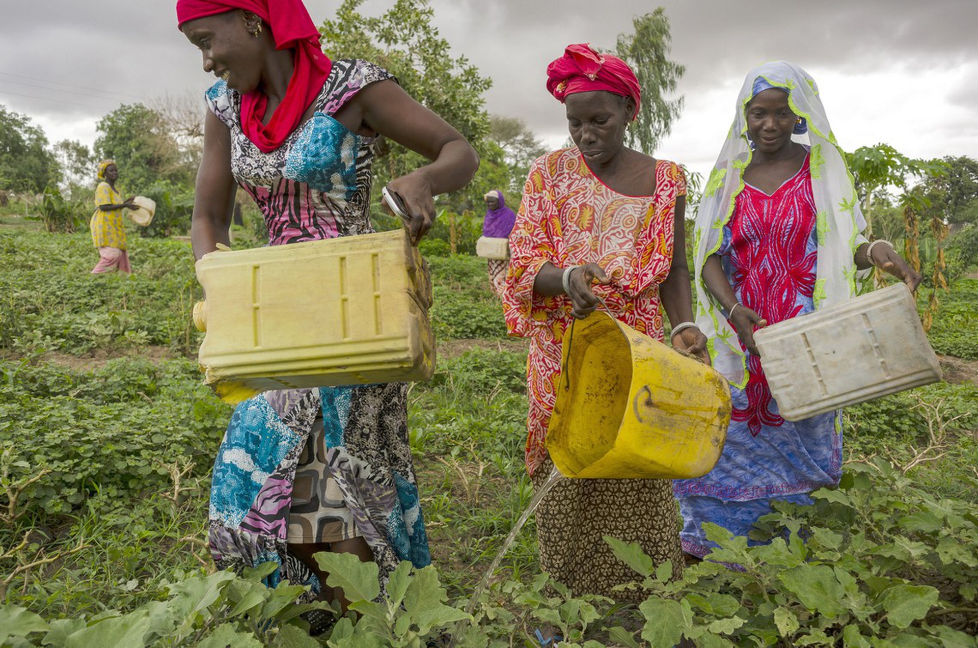 Giornata mondiale dell'alimentazione 2018, Fao
