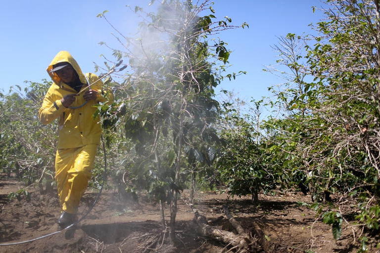 api-dipendenza-neonicotinoidi-3