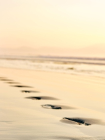Camminata Mindfulness, perché fa bene e come praticarla