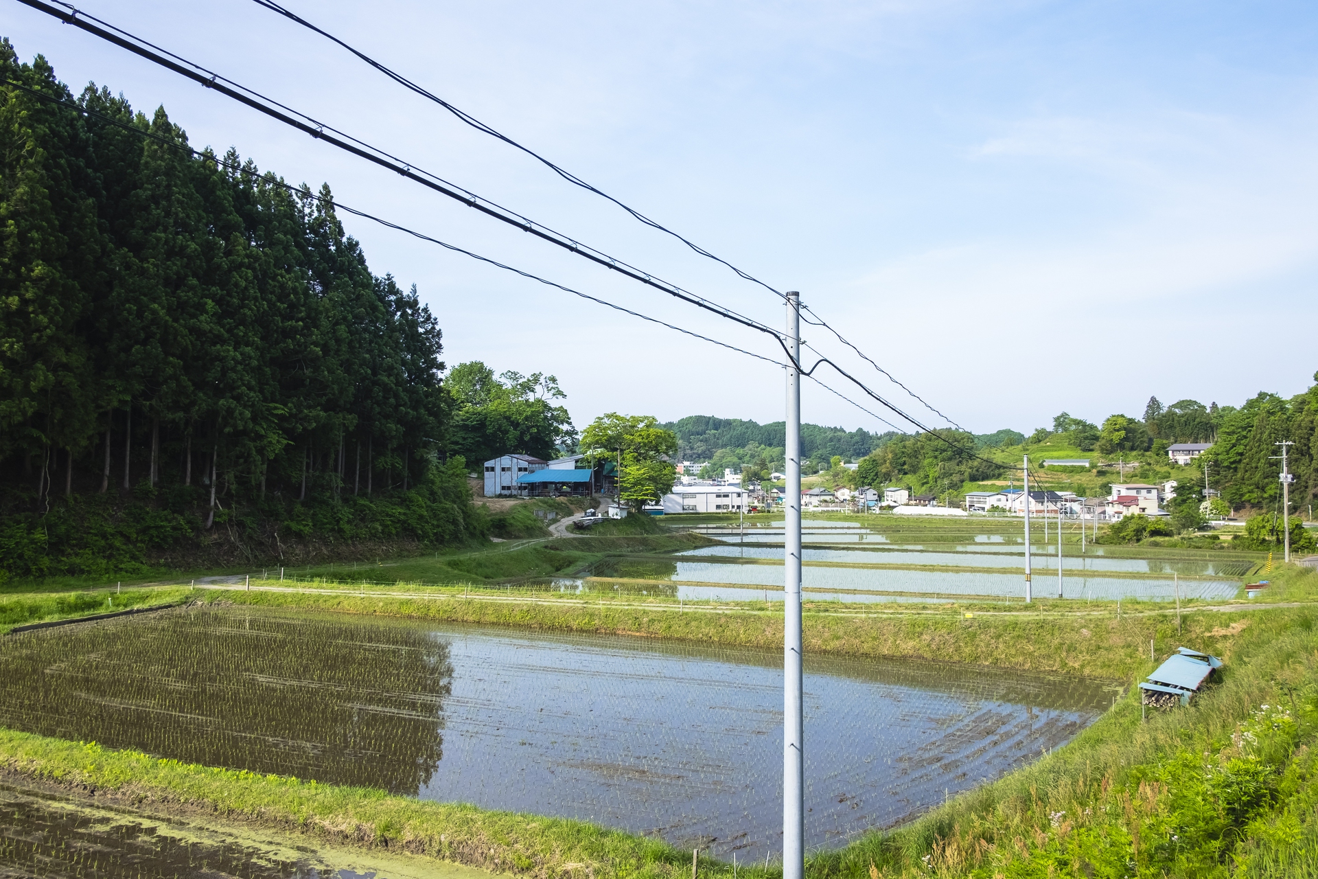 Fukushima a sei anni dal disastro