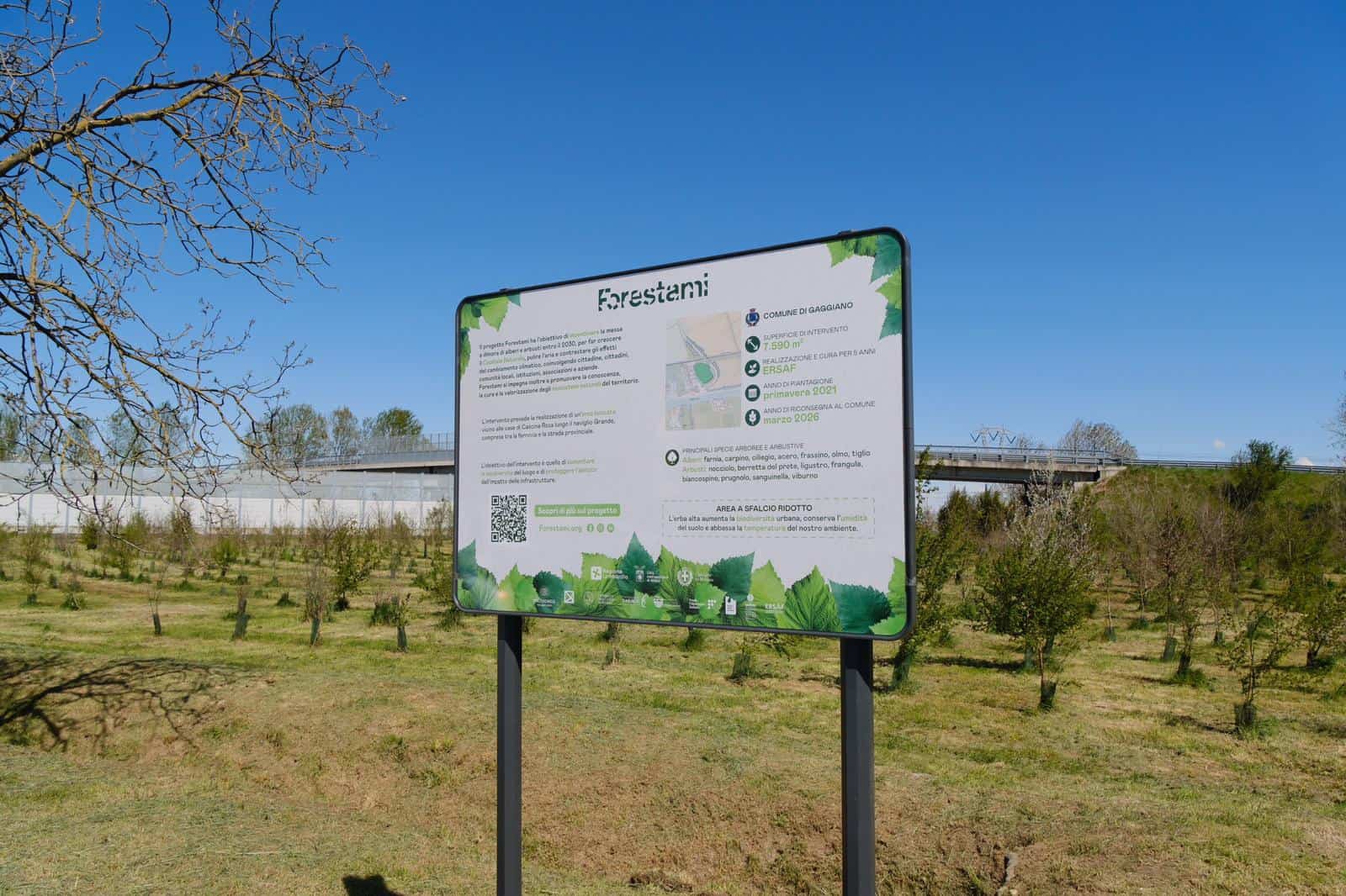 Forestami - Riconsegna Gaggiano e 1 anno di Fondazione Forestami 08
