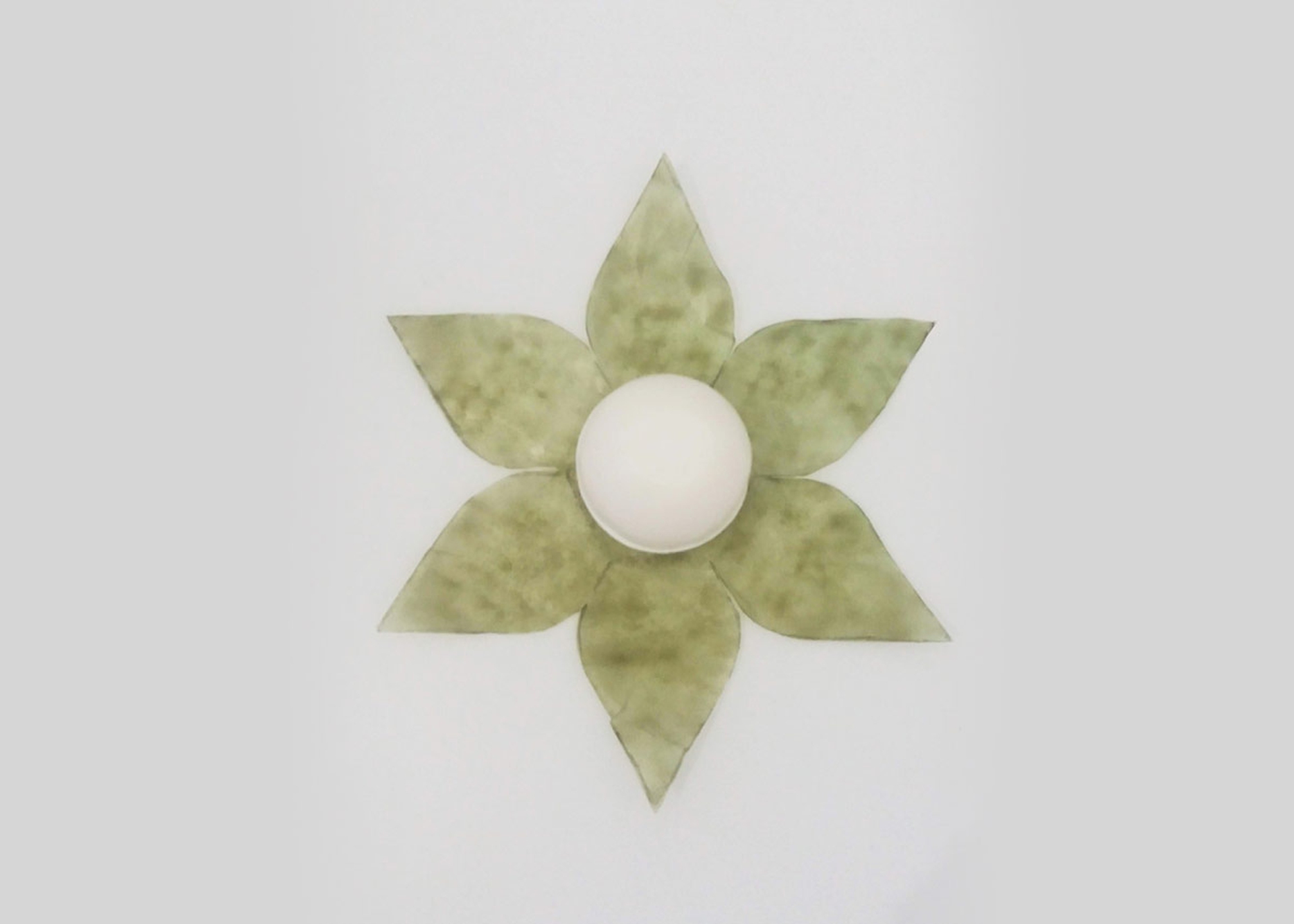 Biomateriali Ponto biodesign