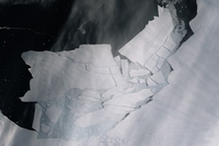 Antartide, un gigantesco iceberg si è staccato dal ghiacciaio di Pine Island