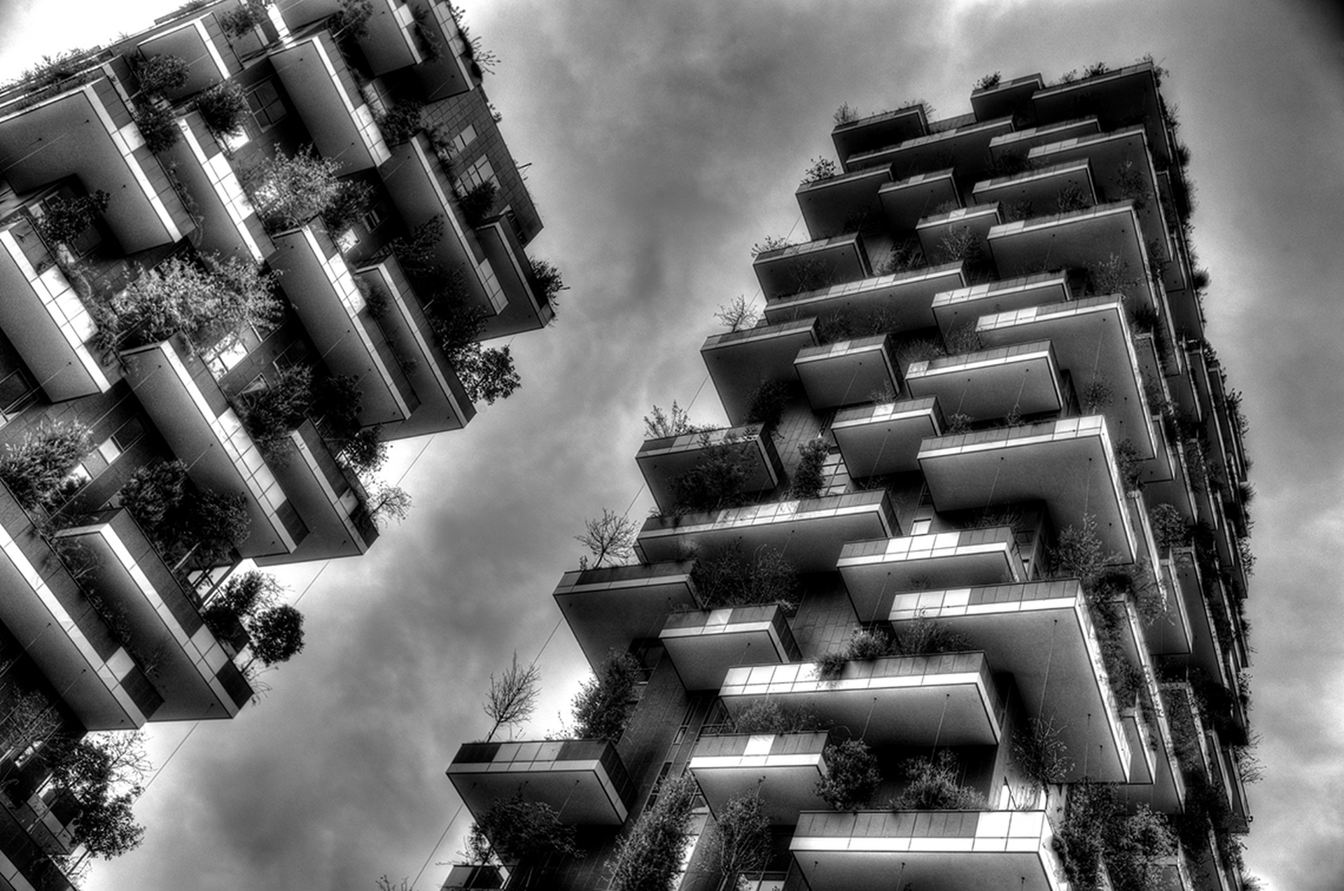 Bosco Verticale in bianco e nero