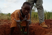 Il Kenya pianterà 20 milioni di alberi