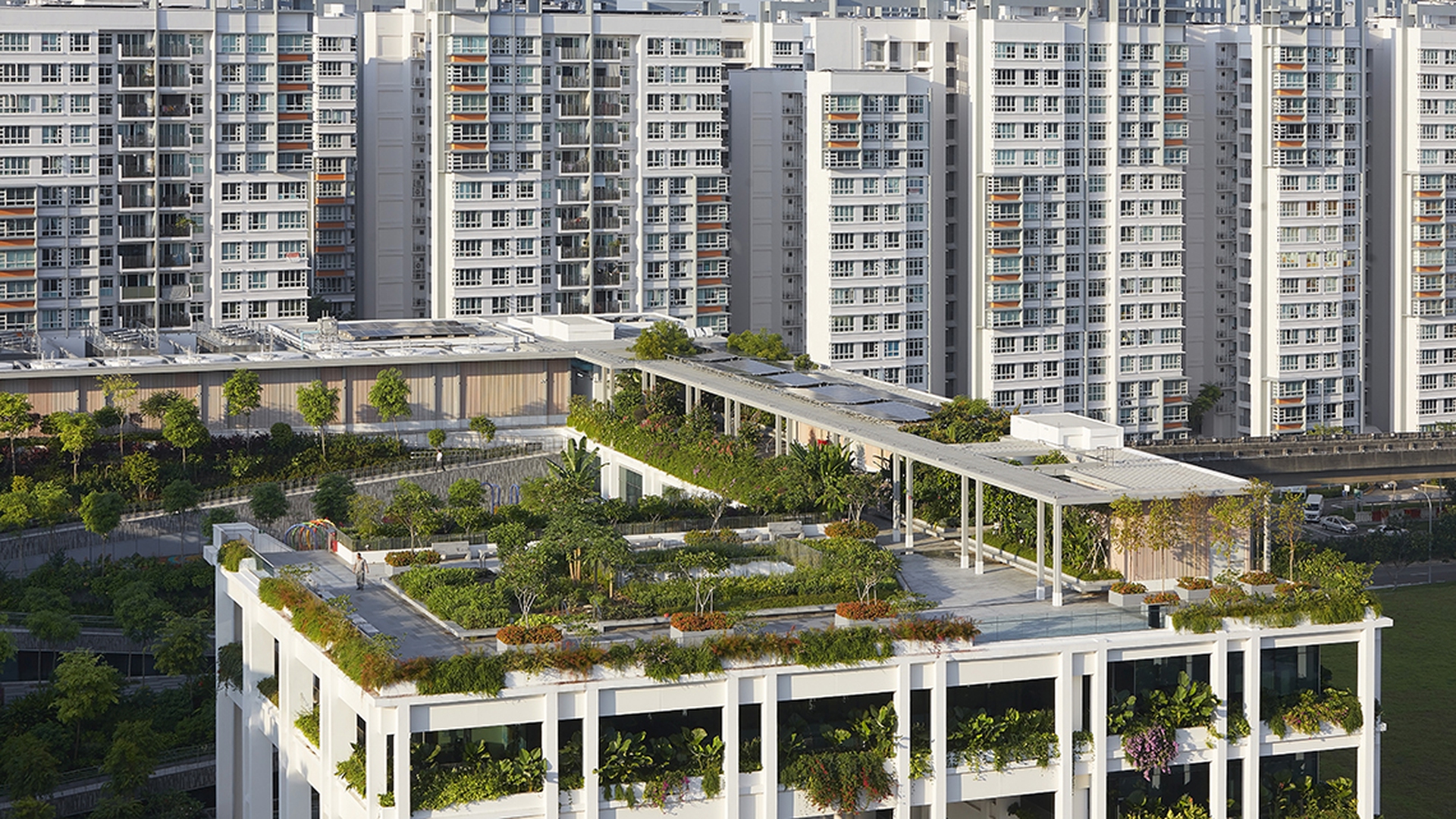 Oasis terraces_Vista del tetto