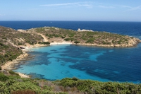 Flora e fauna del parco nazionale dell’Asinara