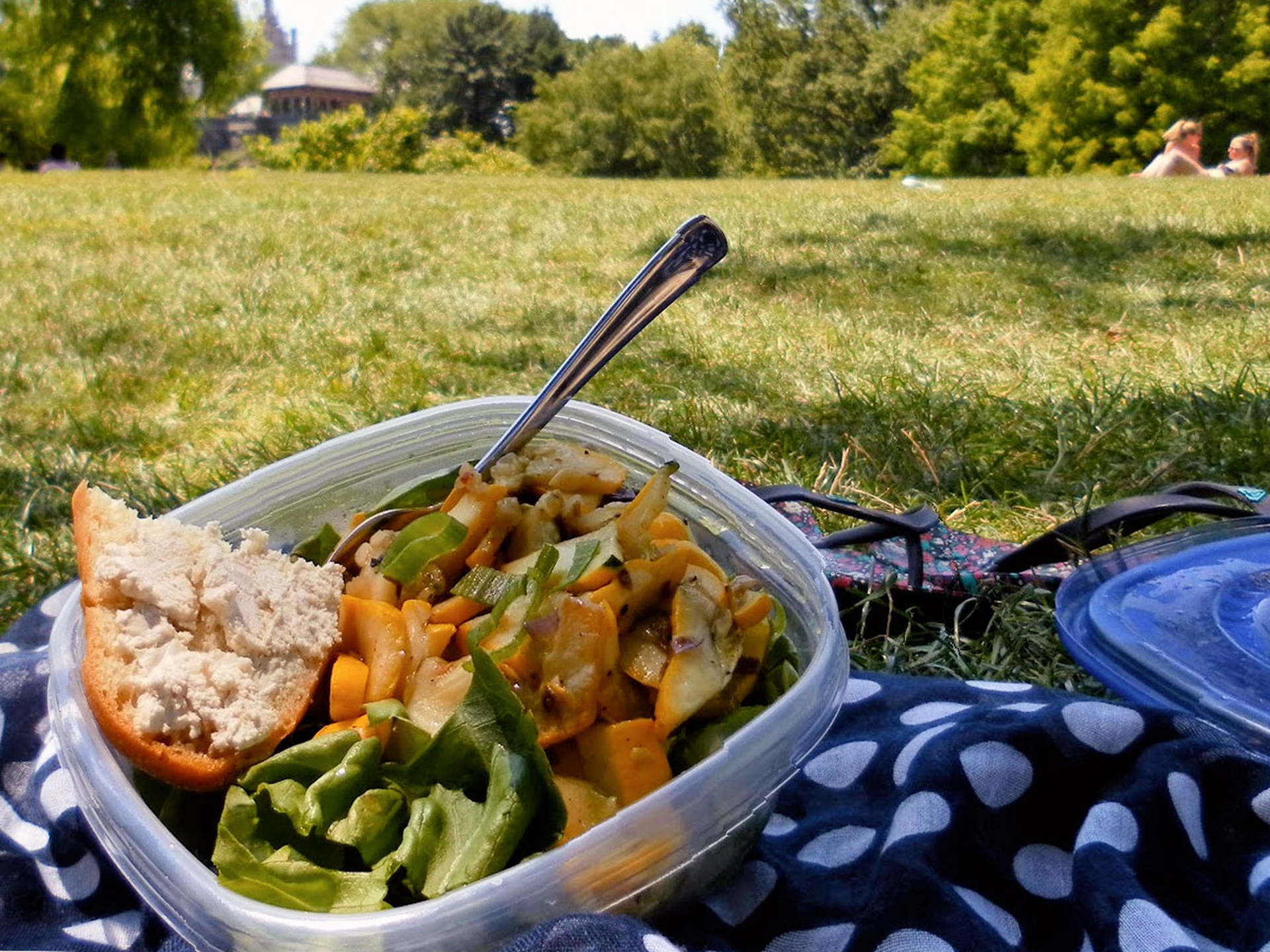 Il picnic ecologico: idee, materiali e ingredienti a basse emissioni di CO2