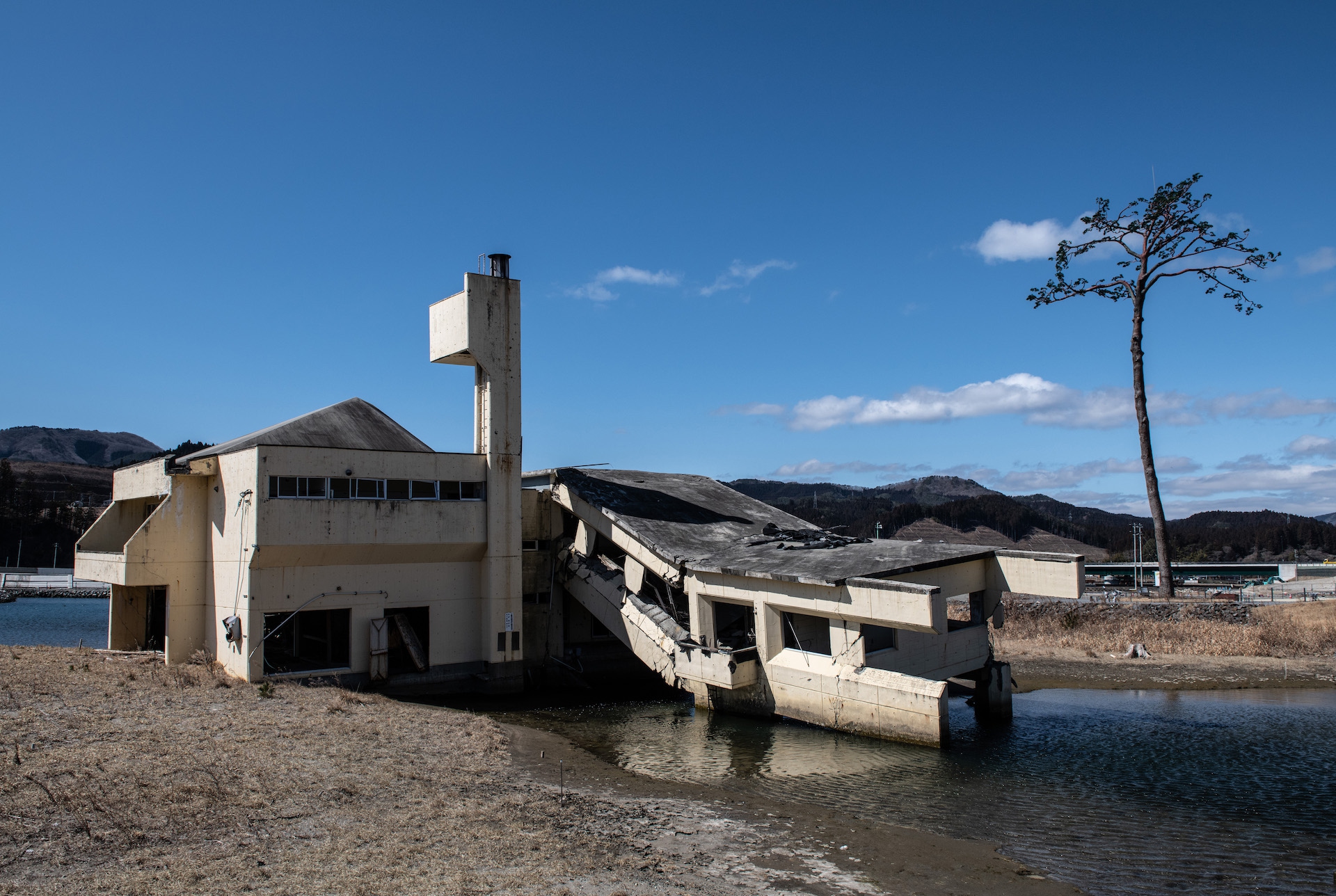 Il pino dei miracoli a Rikuzentakata