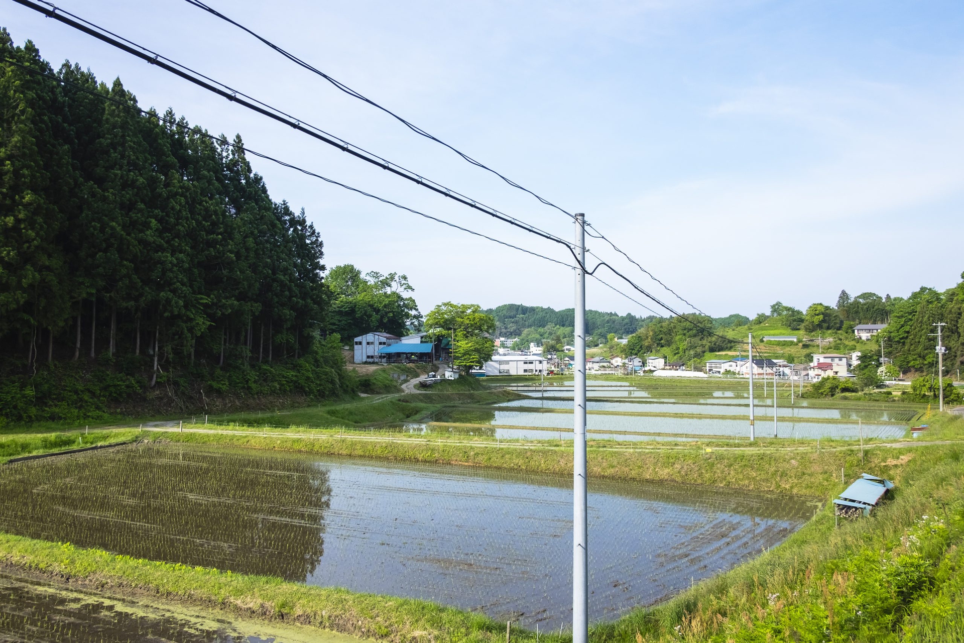 Fukushima a sei anni dal disastro