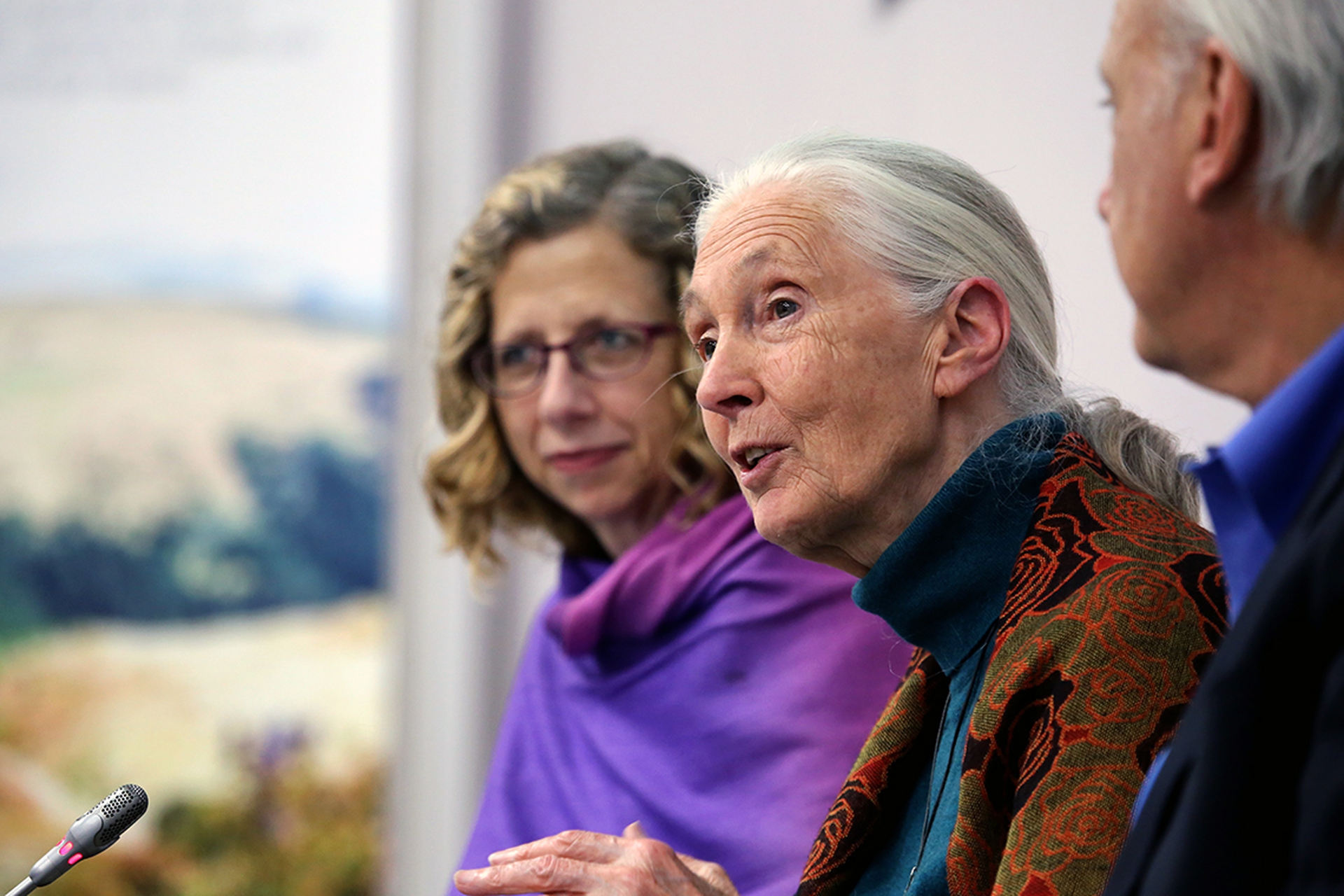 Jane Goodall, ethologist and anthropologist