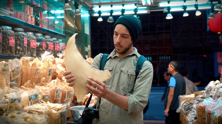 Ali Tabrizi Seaspiracy