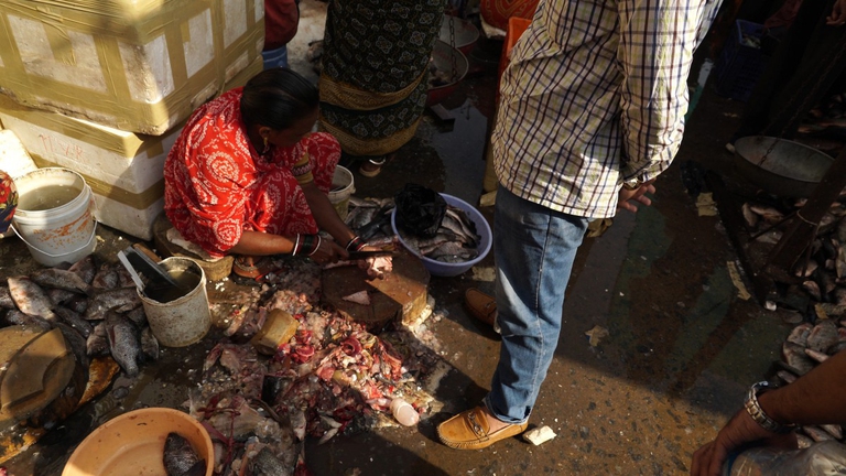 Wet market Animal equality1