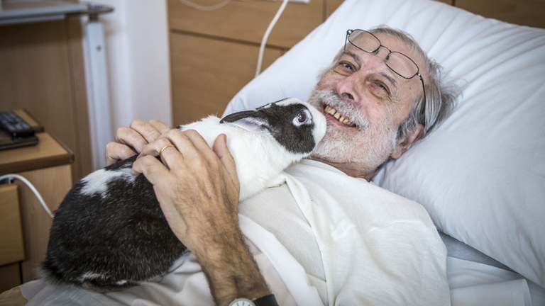 La pet therapy nell'hospice Casa Vidas