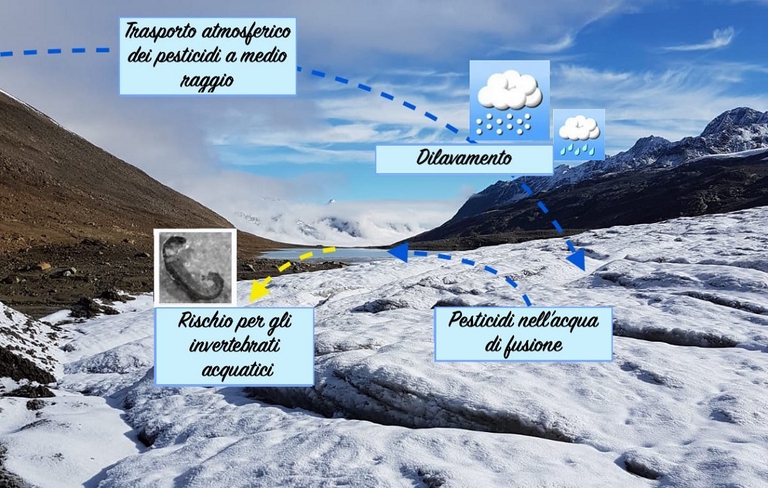 Come i pesticidi arrivano sulle Alpi