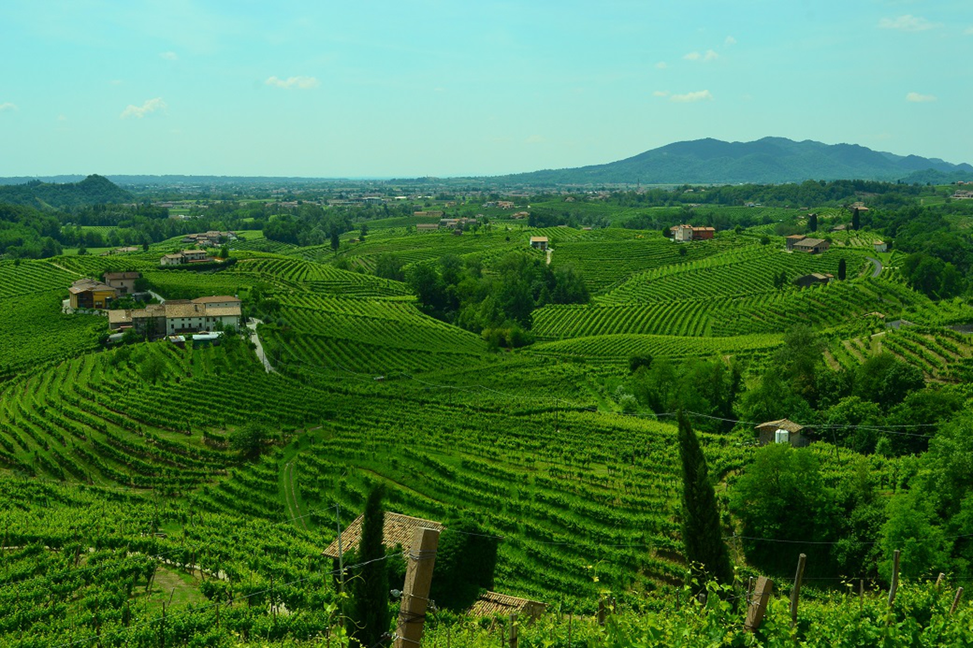 Valdobbiadene, panorama