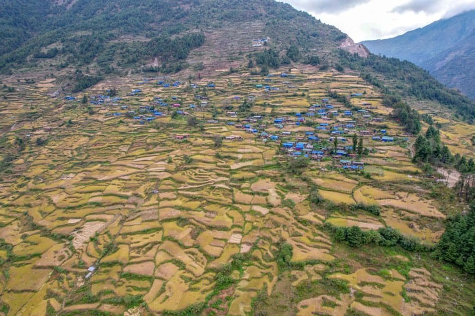 Chyamtang-Village