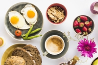 Proteine nobili: cosa sono, dove trovarle e le alternative vegetali