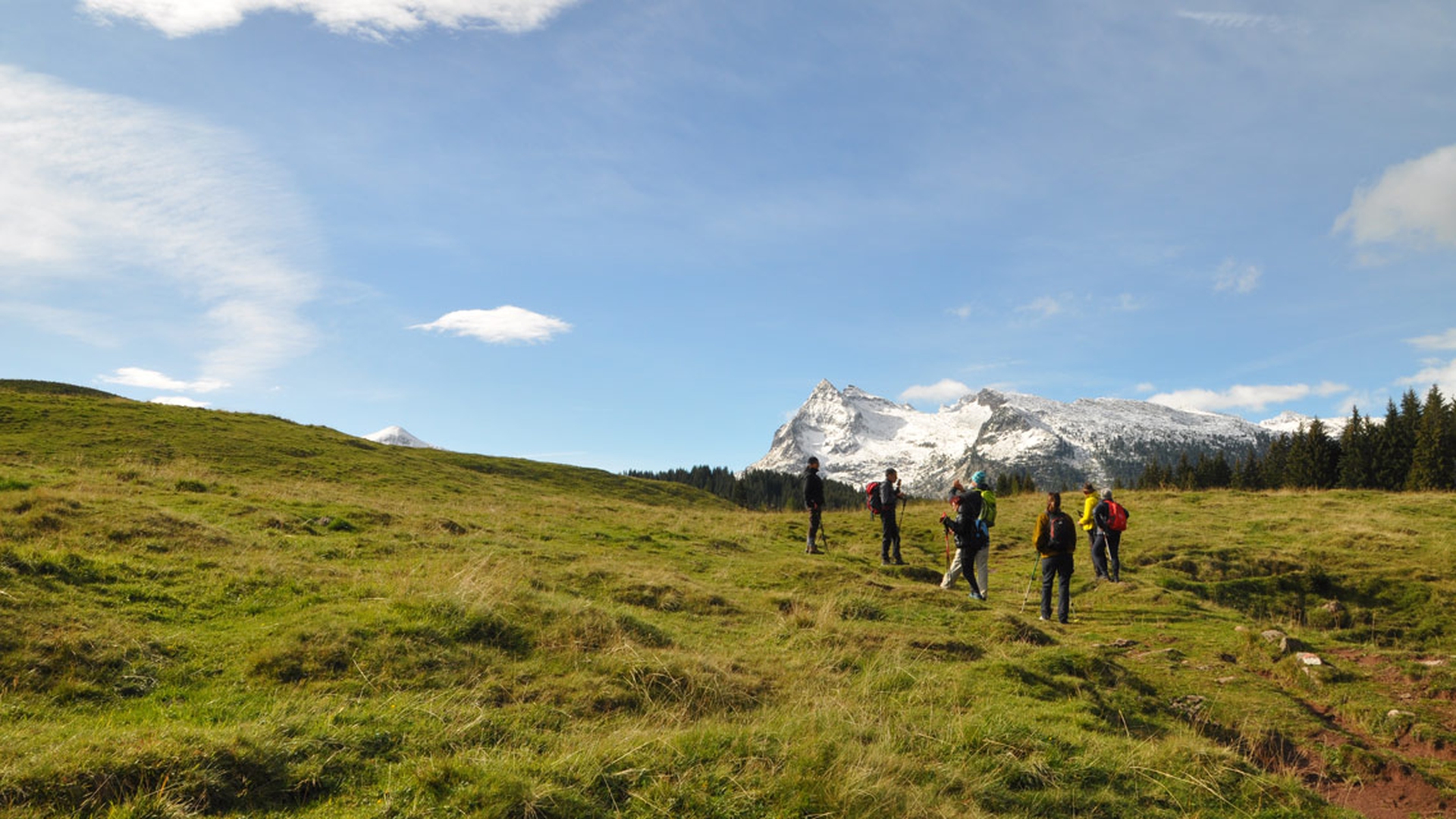Vivere la natura un sogno che alleggerisce l'anima