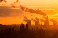 Clima, foreste e acqua. Quante sono le aziende che fanno sul serio, secondo Cdp
