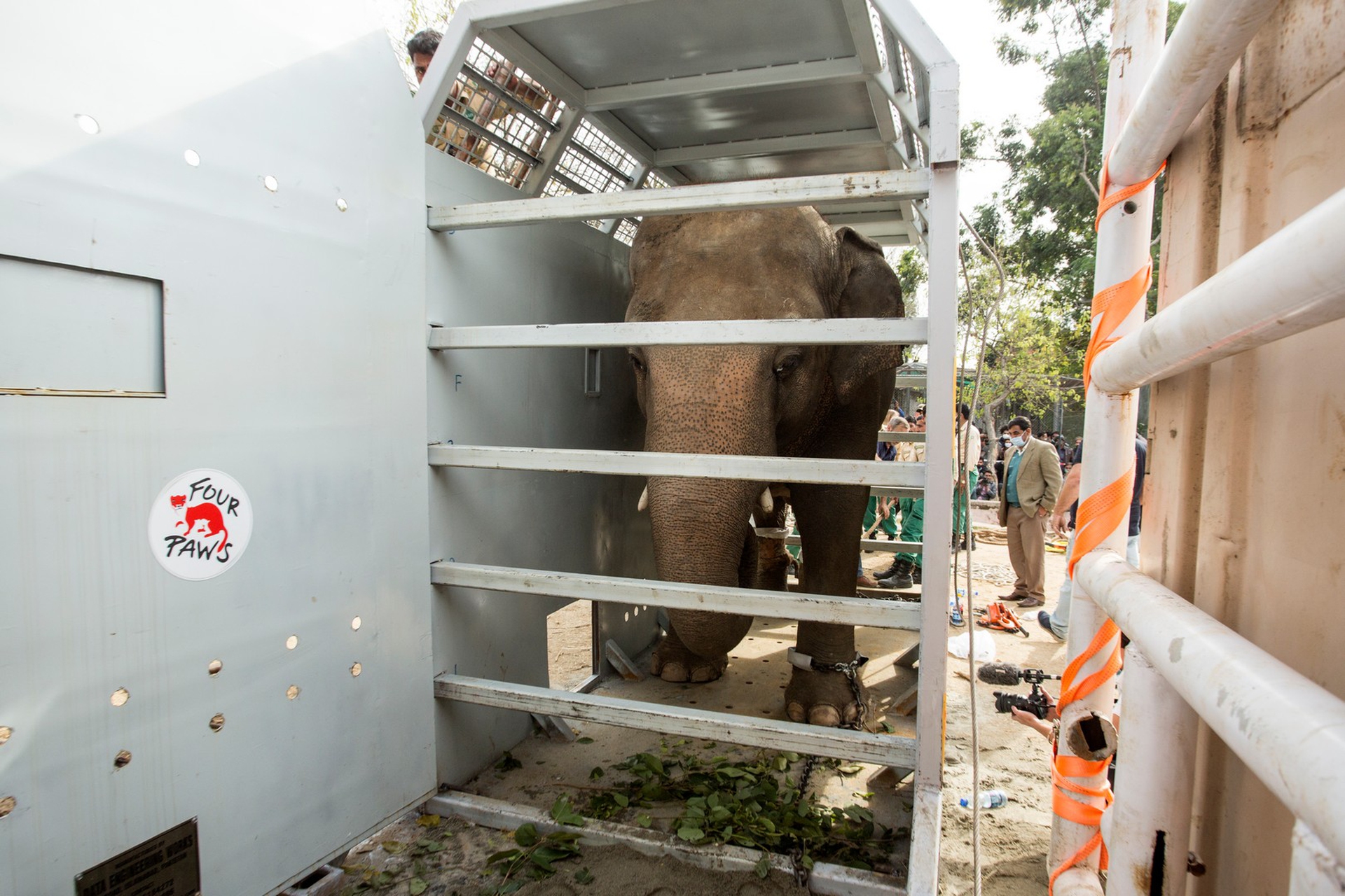 Il trasporto di kaavan