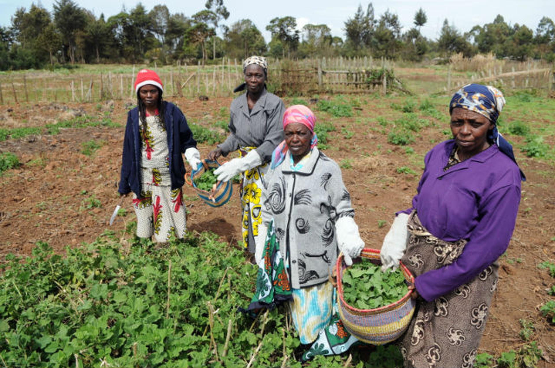 Slow Food for Africa. 10.000 orti per coltivare il futuro